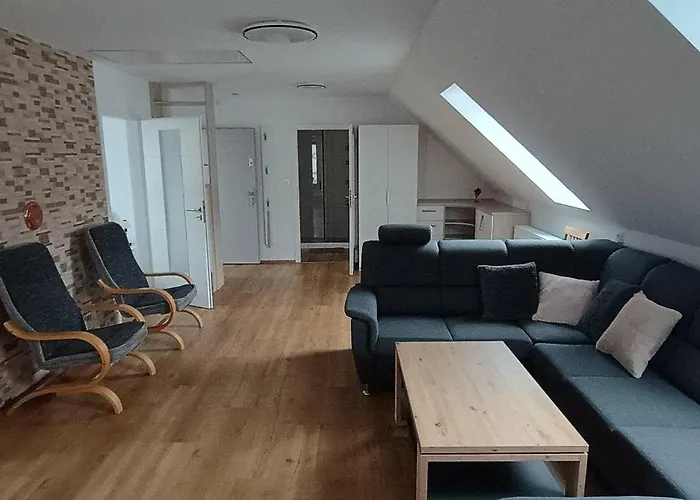 Jana Apartment Vysoke Myto