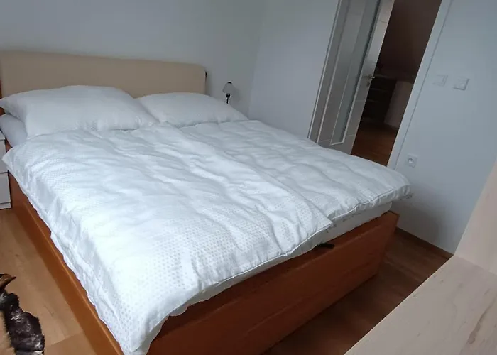 Jana Vysoké Mýto