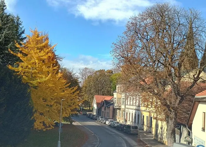 Jana Apartment Vysoké Mýto